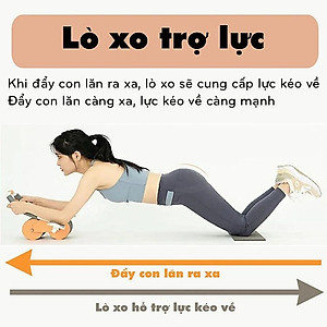 Con lăn tập bụng trợ lực thế hệ mới - Chính hãng dododios
