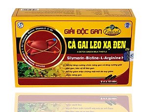 Cà Gai Leo Xạ Đen - Viên Uống Bổ Gan, Giải Độc Gan, Tăng Cường Chức Năng Gan (Hộp 60 Viên)