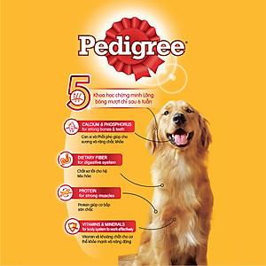 Thức ăn chó Pedigree vị thịt bò & rau củ túi 3kg