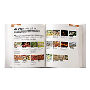 Sách Mahabharata Bằng Hình - Thiên Sử Thi Vĩ Đại Nhất Của Ấn Độ