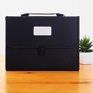 Cặp Đựng Tài Liệu Văn Phòng Phẩm NASI TL1003 nhiều ngăn khổ A4 13 ngăn phân trang tiện lợi tập file đựng lưu trữ hồ sơ văn phòng học sinh sinh viên túi đựng tài liệu nhựa PP cao cấp