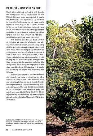 Bản Đồ TG Cà Phê - Từ Hạt Đến Pha Chế - Khám Phá , Giải Thích Và Thưởng Thức Cà Phê