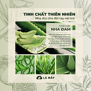 NƯỚC RỬA CHÉN BÁT (KHÔNG ĐẬM ĐẶC) TÍA TÔ & ANH ĐÀO LÁ MÂY 500 mL