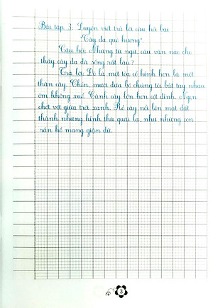 Viết Đúng Viết Đẹp - Luyện Viết Chữ Đẹp - Lớp 2 (Quyển 2)