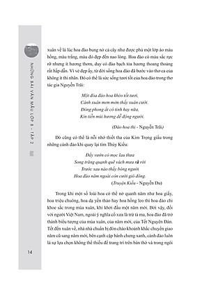 Sách Những Bài Văn Mẫu Lớp 8 (Tập 2)