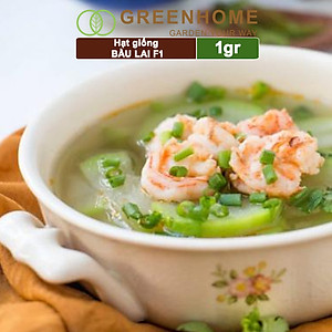 Hạt Giống Bầu Lai Greenhome, Gói 1gr~10 hạt, Dễ Trồng Quanh Năm, Nảy Mầm Cao, Thu Hoạch Nhanh, Năng Suất Cao T09