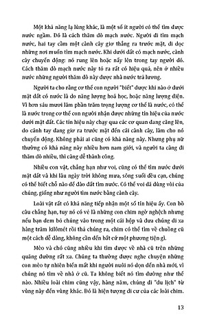 Những Khả Năng Kỳ Diệu Của Con Người