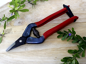 Kéo tỉa cành cao cấp Nhật Bản Chikamasa S-2C chiều dài lưỡi 23mm -  lưỡi thép carbon chất lượng cao siêu bén - Cắt ngọt, không bám dính, liền sẹo nhanh