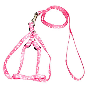 Dây Đai Mỏng 1cm Cho Chó Mèo Kún Miu - Giao Màu Ngẫu Nhiên