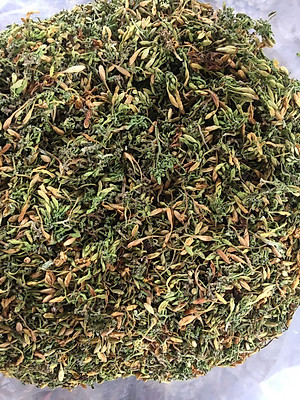 Bông đu đủ đực sấy lạnh xanh đẹp đặc sản Kon Tum