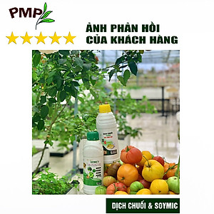 Combo Phân Đậu Nành Soymic V - Dịch Chuối Cho Rau Sạch