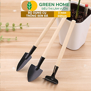 Dụng Cụ Làm Vườn Greenhome, 3 Món Gồm Xẻng Xúc Đất, Cào , Mini, Cán Gỗ, Tiện Lợi, Dễ Sử Dụng, Trồng Sen Đá, Tiểu Cảnh