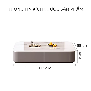 Bàn trà sofa bọc da cao cấp thương hiệu IGA - GM167