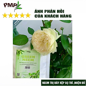 Combo 2 Túi Dầu Neem Oil Hữu Cơ PMP Nguyên Chất Loại Bỏ Rệp, Nhện Đỏ, Nấm, Sâu Bệnh Cho Hoa Hồng, Rau Sạch Green Neem