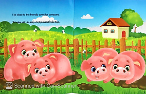 Bộ Sách Những Câu Chuyện Về Thế Giới Loài Vật 2 (Bộ 6 Cuốn)