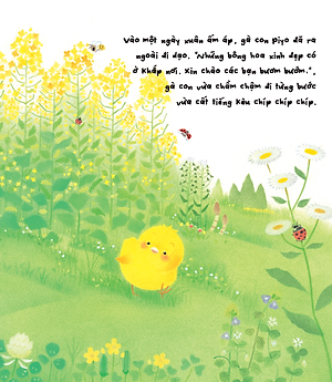 Sách - Gà con và hoa hướng dương