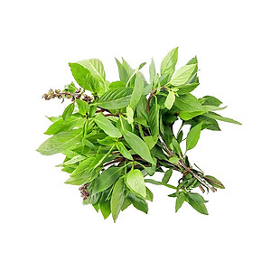 Gói 30 Hạt Giống Rau Quế Chịu Nhiệt Tốt