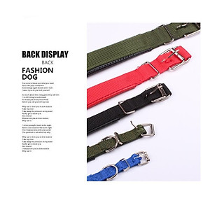 Bộ 3 Vòng cổ, dây đeo cổ cho chó mèo - Màu ngẫu nhiên