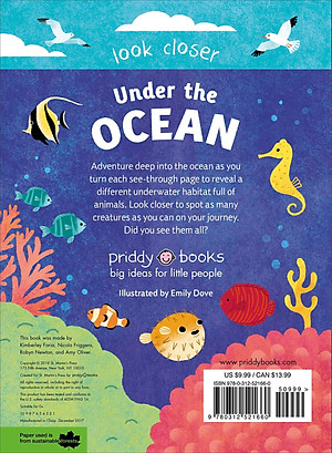Look Closer: Under The Ocean