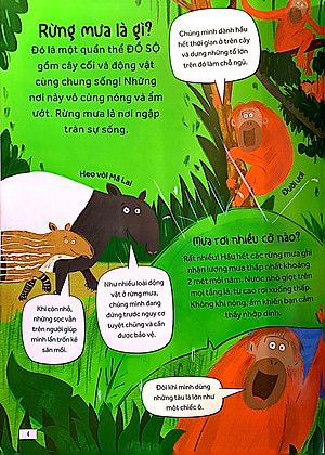 Sách Những câu hỏi tò mò & giải đáp thú vị về rừng mưa