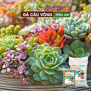 Đá Cầu Vồng Trồng Sen Đá GreenHome, Bao 500GR, Kích Rễ, Đậm Màu, Thoát Nước Tốt, Trộn Đất, Rải Bề Mặt Đều Tốt