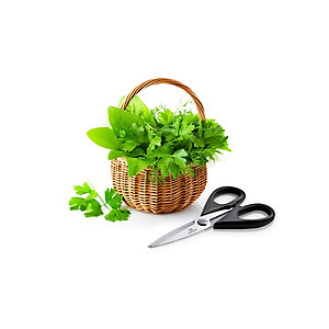 Kéo Làm Bếp Đa Năng Benchusch - Hàng Chính Hãng