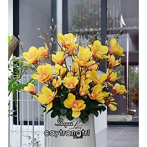  Cành hoa mộc lan cao su 5 bông dài 80cm - HÀNG CAO CẤP