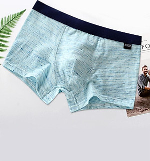 Hộp 4 quần lót nam boxer cotton cao cấp