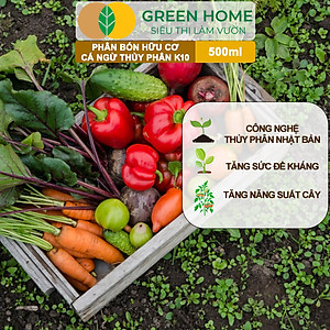 Phân Đạm Cá Hữu Cơ Sinh Học GreenHome, Dịch Cá Biển Thủy Phân K10, Chai 500ml, Hàm Lượng Dinh Dưỡng Cao, Thế Hệ Mới, Công Nghệ Nhật Bản