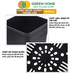 5 Chậu Vuông Trồng Cây Greenhome, Nhiều Kích Thước, Nhựa Cứng, Thoát Nước Tốt, Trồng Hoa, Kiểng Lá
