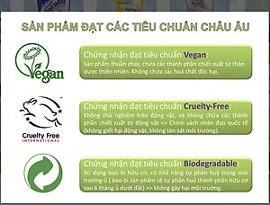 Chai tẩy dầu mỡ cháy khét Astonish C6750 750ml Anh Quốc