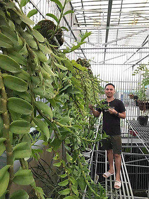 Phân bón siêu kích rễ cây cảnh, hoa lan BioRoot, giúp kích rễ cây mọc nhanh, cây khỏe mạnh, dùng cho cả vườn ươm cây non, an toàn cho cây và người, dung tích 500ml thương hiệu chính hãng Docneem