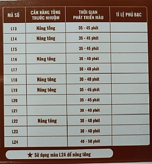 Đồng Ánh Vàng - Combo 2 Kem Nhuộm Tóc Màu Thời Trang Lavox Youth&Color L13 Đồng Ánh Vàng + L24 Nâng Tông Màu (Sử Dụng Màu L24 Để Nâng Tông Màu Tóc Trước Khi Nhuộm Màu L13 Đồng Ánh Vàng)