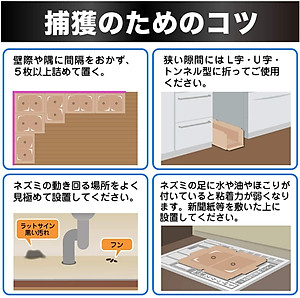 Miếng Dán Bẫy Chuột Bằng Keo Siêu Dính Hiệu Quả Và An Toàn