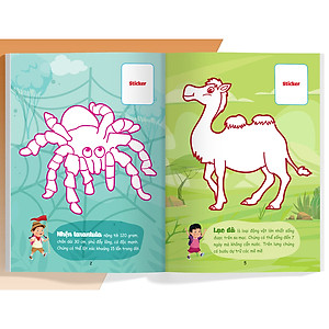 Combo Con Tô Màu Thám Hiểm (4 cuốn)