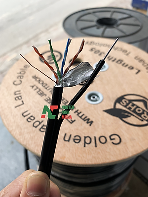 Dây Mạng Ngoài Trời 8 Lõi Golden Japan Cat5e Có Sợi Thép Chịu Lực, Bọc Bạc, Phủ Dầu Chống Ẩm - Hàng Chính Hãng