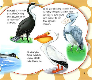 Sách Những Điều Kỳ Thú - Thú Vị Các Loài Chim