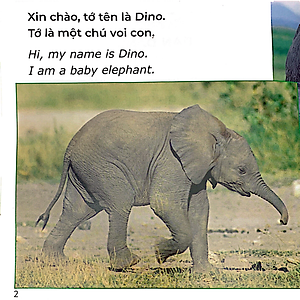 Sách Gõ Cửa Thiên Nhiên: Bạn Đang Làm Gì Thế? Chăm Chỉ - What Are You Doing?