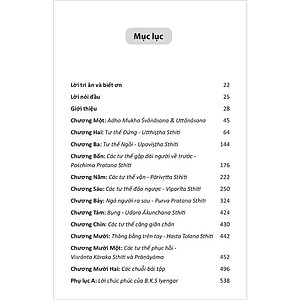 Sách Yoga Với Ghế Bản Đầy Đủ - Hướng Dẫn Thực Hành Toàn Diện Iyengar Yoga Với Ghế