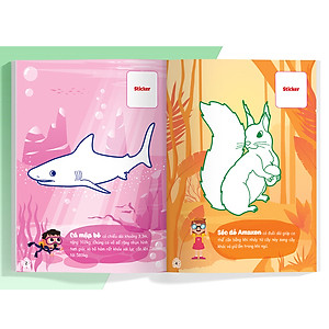 Combo Con Tô Màu Thám Hiểm (7 cuốn)