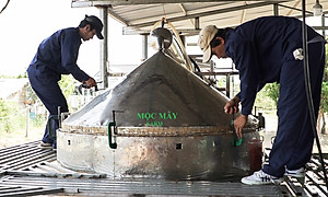 Tinh dầu Đinh hương nguyên chất từ thiên nhiên - Mộc Mây
