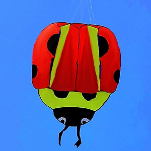 Diều khí động học cá voi - TẶNG tay cầm thả diều 150 mét dây + túi đựng diều (diều giá rẻ, diều thả, diều sỉ lẻ)