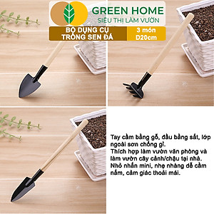 Dụng Cụ Làm Vườn Greenhome, 3 Món Gồm Xẻng Xúc Đất, Cào , Mini, Cán Gỗ, Tiện Lợi, Dễ Sử Dụng, Trồng Sen Đá, Tiểu Cảnh