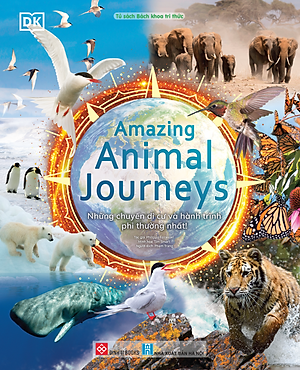 Sách - Amazing Animal Journeys - Những Chuyến Di Cư Và Hành Trình Phi Thường Nhất! - Bìa Cứng