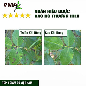Giấm Gỗ Sinh Học APY PMP Kháng Đốm Lá, Đốm Đen, Vàng Lá, Phấn Trắng Cho Hoa Hồng, Rau Sạch, Lan, Cây Cảnh Chai 500ml
