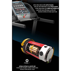 Máy Chạy Bộ Nhỏ Gọn Horizon TR3.0