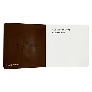 Sách Cùng Chơi Trốn Tìm - Tập 10: Côn Trùng