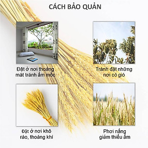 CÂY LAU SỢI VẮT TRỢ LỰC TỰ HÃM THÔNG MINH CÂY LAU MOP SỢI LAU SIÊU THẤM MỀN MẠI VÀ BỀN KHÁNG KHUẨN HÀNG XUẤT KHẨU CAO CẤP - MHW007K65QN