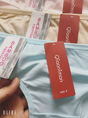 combo 10 chiếc quần lót cotton trơn co dãn tốt fom từ 45-60kg