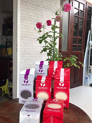 Tấm Thơm ( Tấm Gạo ST25 ) Ông Thọ 1Kg - Cơm mềm dẻo, nấu cơm ăn dặm cho bé, nấu cháo dinh dưỡng cho người già và trẻ nhỏ, cơm tấm gia đình